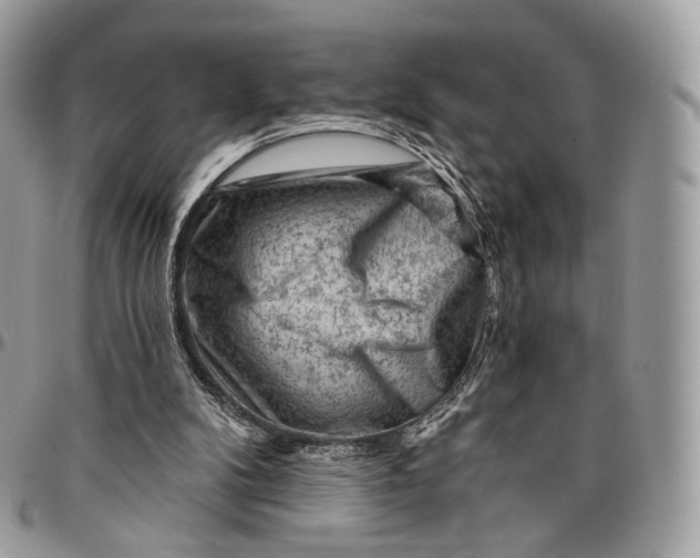 X0000096410104200802141550