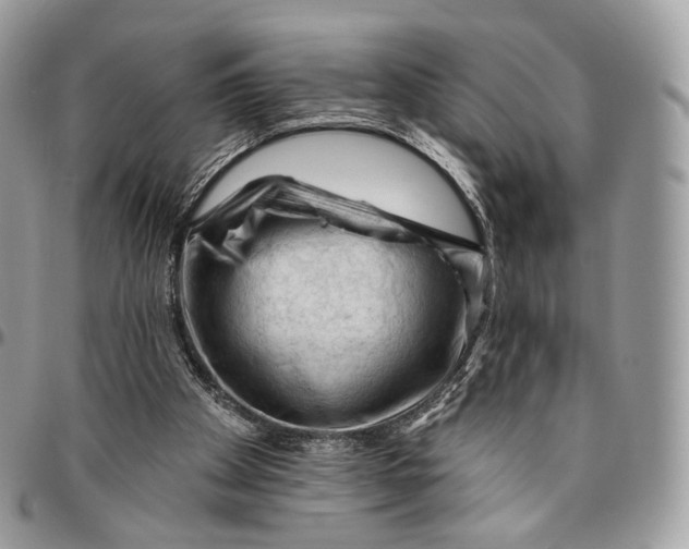 X0000096410105200802141550