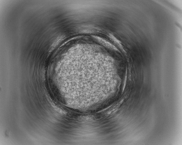 X0000096410106200802141550