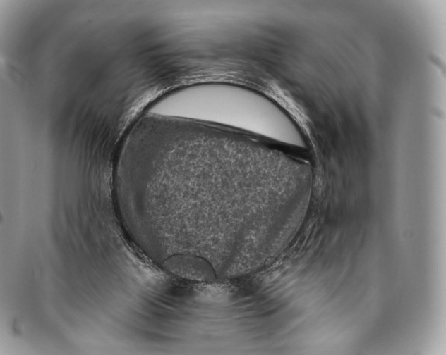 X0000096410107200802141550