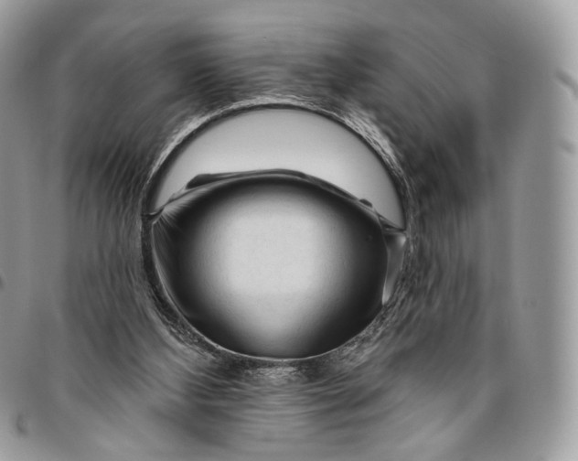 X0000096410108200802141550