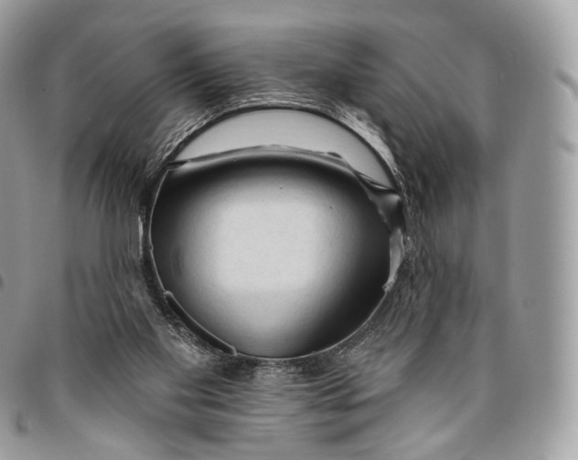 X0000096410109200802141550