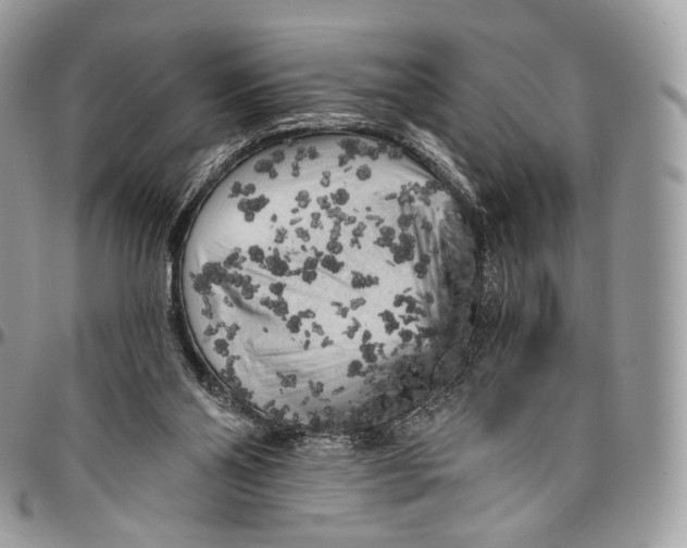 X0000096410110200802141549