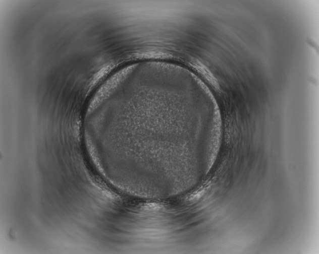 X0000096410111200802141549