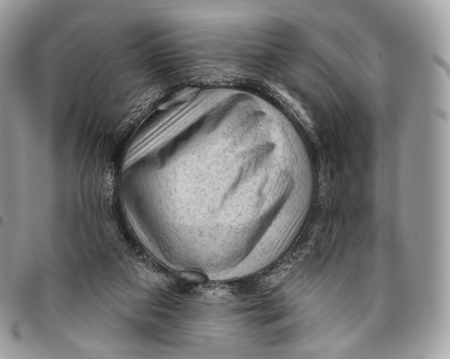 X0000096410113200802141549