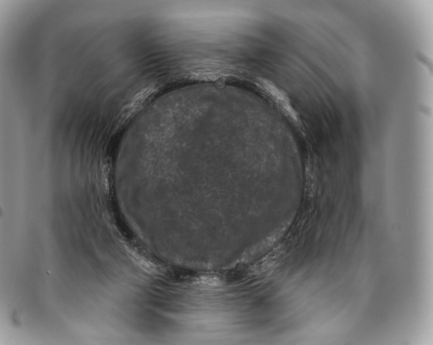 X0000096410114200802141549