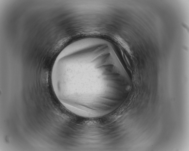 X0000096410115200802141549