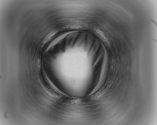 X0000096410116200802141549