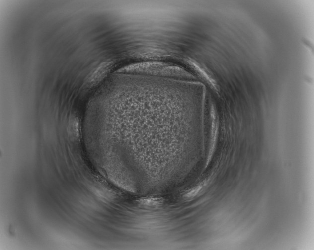 X0000096410117200802141549