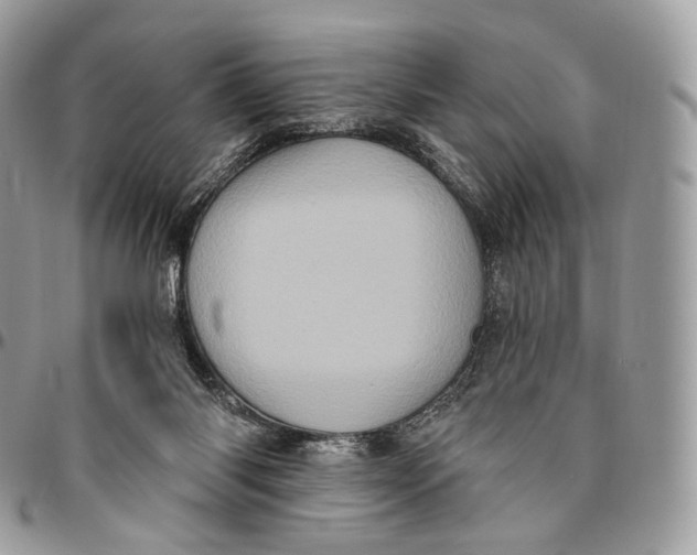 X0000096410118200802141549