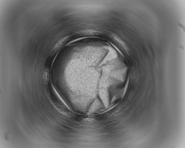 X0000096410119200802141549