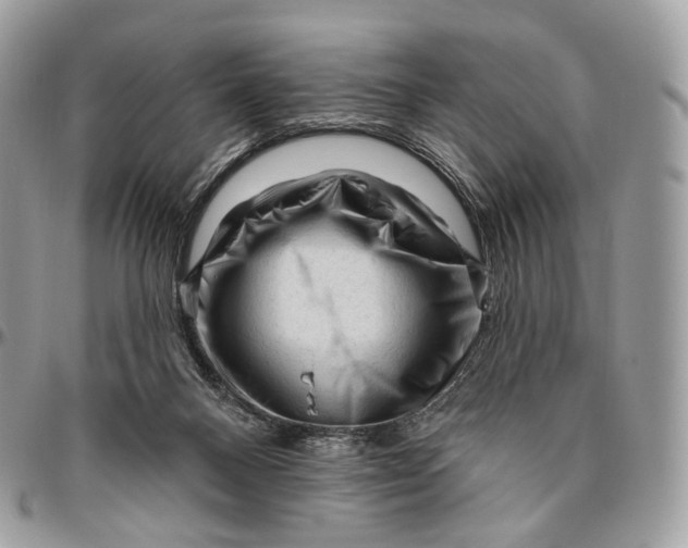 X0000096410120200802141549