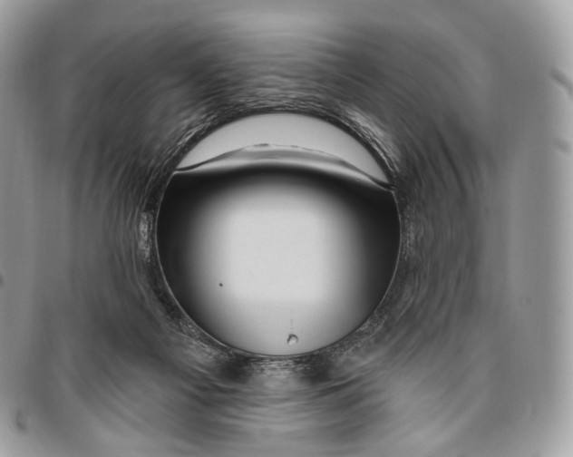 X0000096410121200802141549