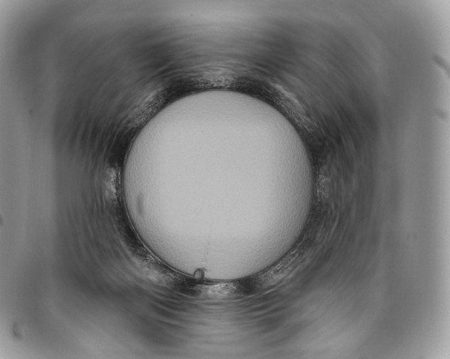 X0000096410122200802141549