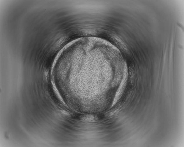 X0000096410123200802141549