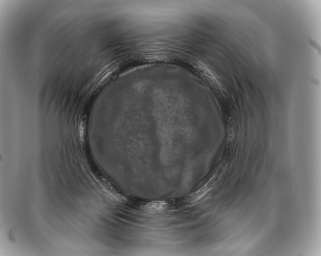 X0000096410124200802141549