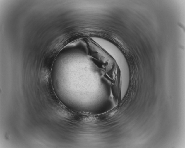 X0000096410125200802141549