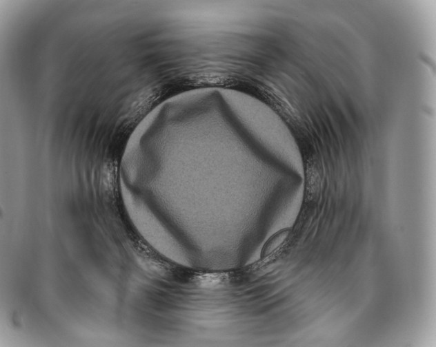 X0000096410126200802141549