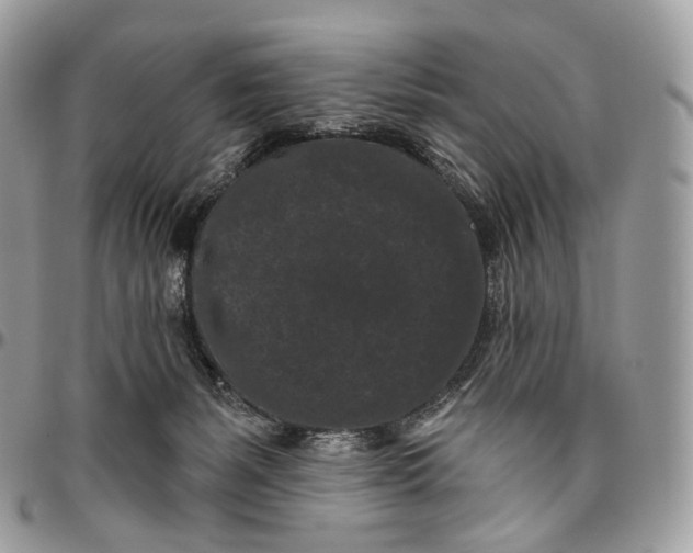 X0000096410127200802141549