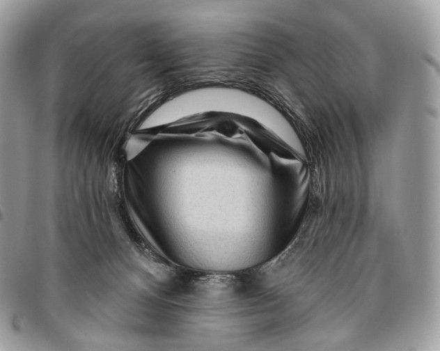 X0000096410128200802141549