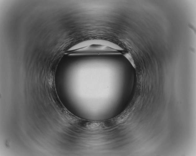 X0000096410129200802141549