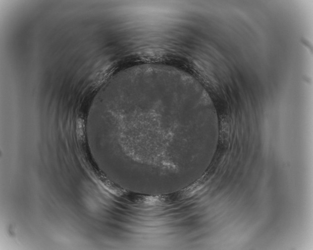 X0000096410130200802141549