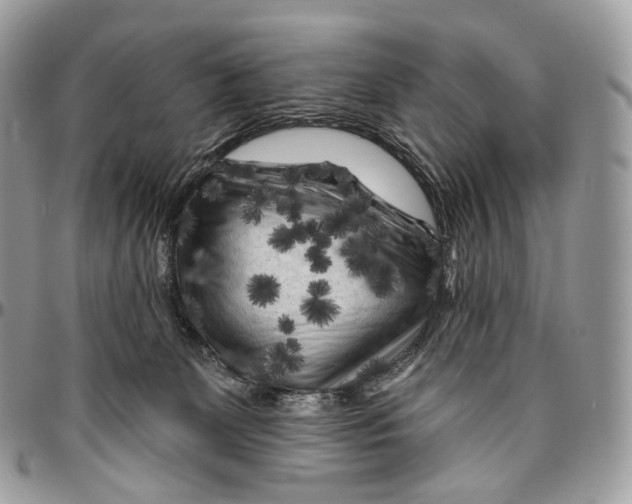 X0000096410131200802141549