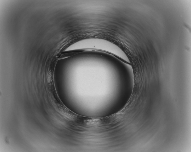 X0000096410132200802141549