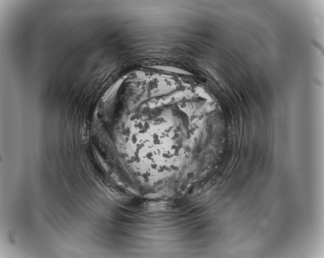 X0000096410134200802141549