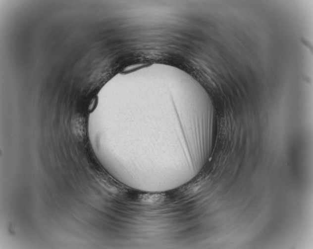 X0000096410135200802141549