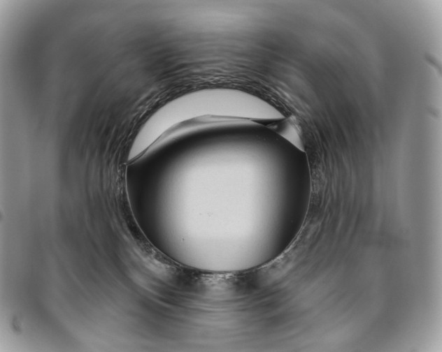 X0000096410136200802141549