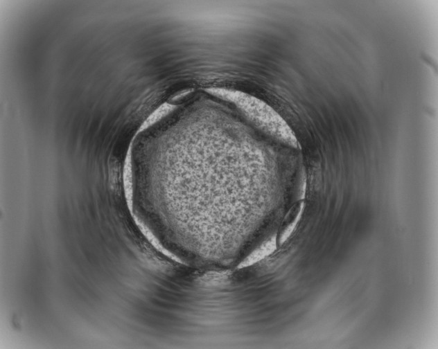 X0000096410138200802141549