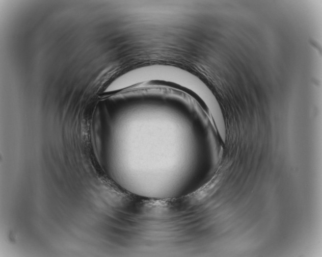 X0000096410140200802141549