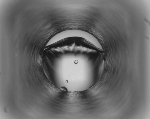 X0000096410141200802141549