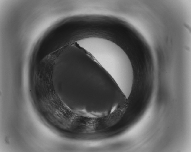 X0000096410143200802141549