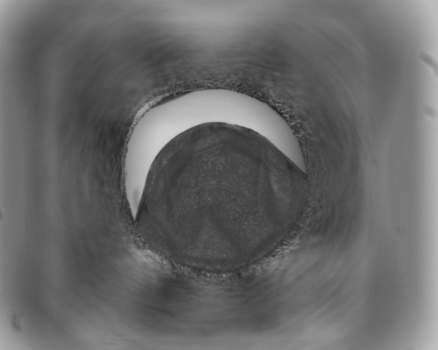 X0000096410144200802141549