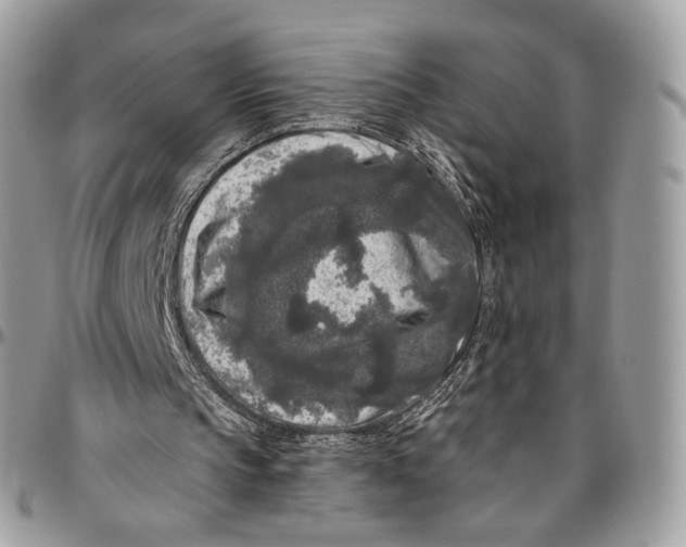 X0000096410145200802141548