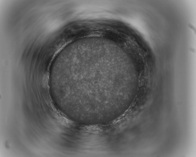 X0000096410146200802141548