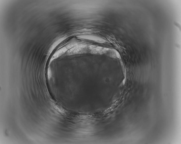 X0000096410147200802141548