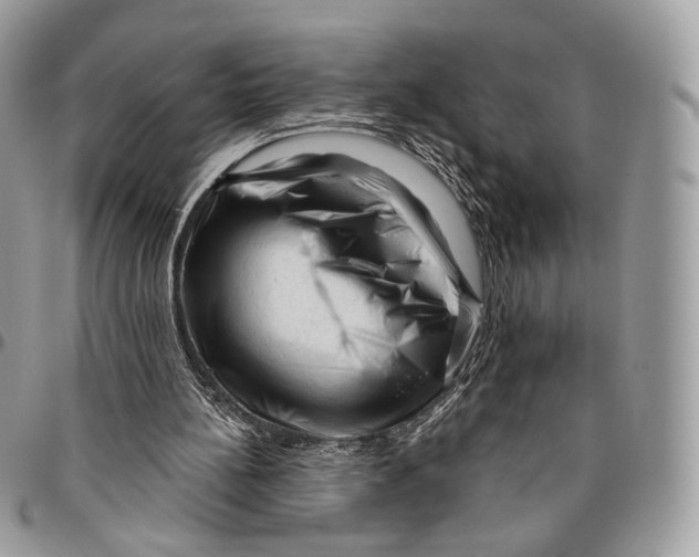 X0000096410148200802141548