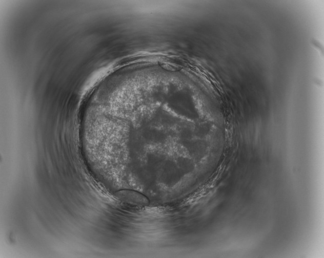 X0000096410149200802141548