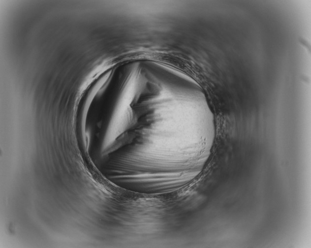 X0000096410150200802141548