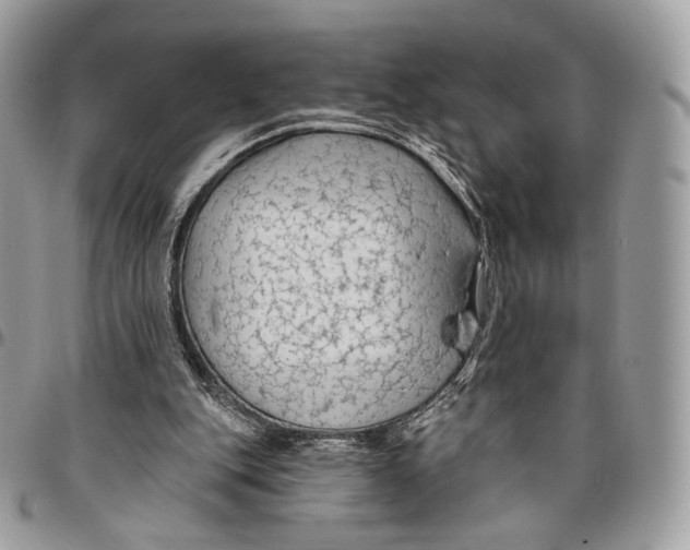 X0000096410151200802141548