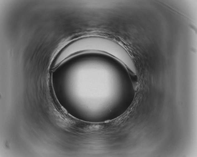 X0000096410152200802141548