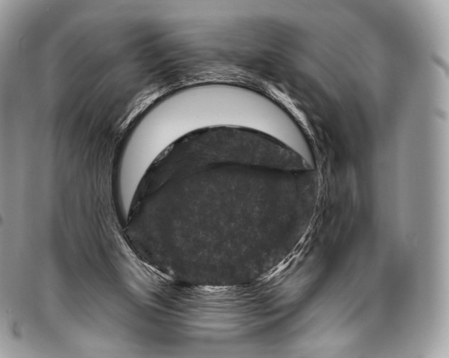 X0000096410154200802141548