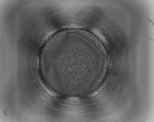 X0000096410157200802141548