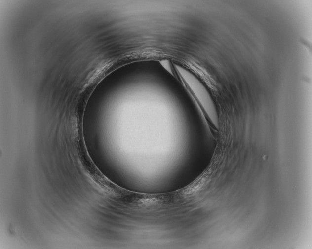 X0000096410158200802141548