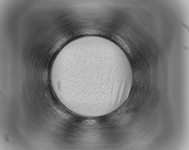 X0000096410159200802141548