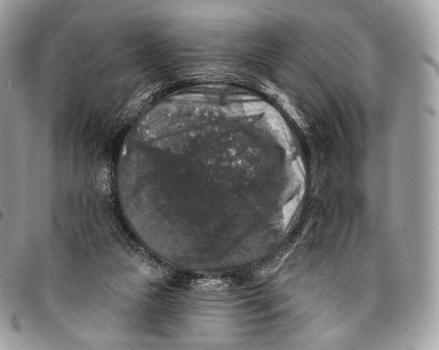 X0000096410161200802141548