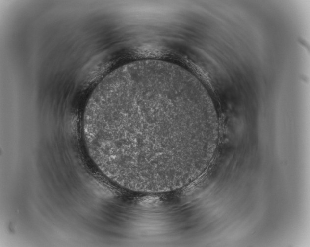 X0000096410162200802141548